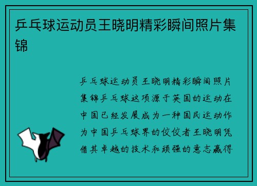 乒乓球运动员王晓明精彩瞬间照片集锦